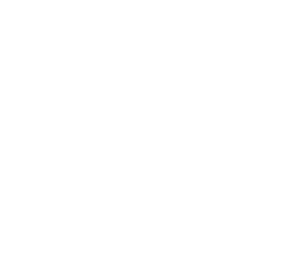 VAULT